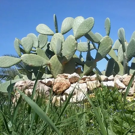 La Carpignana Галатоне